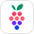 Skillberry logo